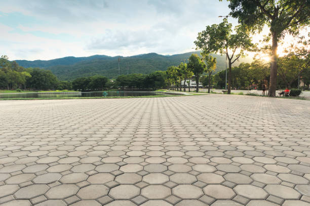 Best Residential Paver Driveway  in Garner, NC
